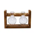 Creative wooden frame with two glass bulb vases for hydroponic plants desktop decoration - Bulb Double Bottle / Retro Wood Stand