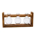 Minimalist hydroponic glass bulb vases with a dark wood stand for home desktop decor. - Bulb Triple Bottle / Retro Wood Stand