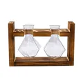 Vintage wooden desktop stand with two diamond-shaped glass vases for hydroponic plants - Diamond Double Bottle / Retro Wood Stand