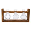 Creative three-bottle desktop hydroculture glass vase set with natural wooden frame stand - Diamond Triple Bottle / Retro Wood Stand