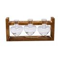 Heart-shaped glass hydroponic vase set featuring three bottles on a wooden stand - Heart Triple Bottle / Retro Wood Stand