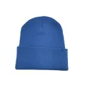 Vibrant blue solid color knitted beanie for autumn and winter warmth and outdoor style. - Gray Blue