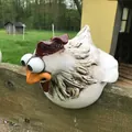 Close-up of a funny resin chicken head garden fence decoration with exaggerated large eyes - Rooster Style B