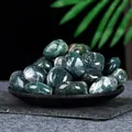 Polished natural moss agate tumbled stones for home decor and crystal healing use - Moss Agate (2-3cm) / 100g Pack