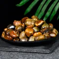 Premium polished natural tiger's eye tumbled stones for home decor and healing energy - Tiger's Eye (1-2cm) / 100g Pack