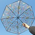 Clear automatic folding umbrella featuring cute nature and lemur print for students - Automatic / Natural Bird And Flower Pattern