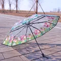 Creative automatic 3-fold transparent umbrella featuring vibrant tulip floral prints - Manual / Tulip & Dragonfly Pattern
