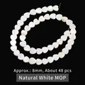 Hochwertige natürliche weiße Muschelperlen Herzform 8mm für DIY Schmuck 48 Stück - Herz / 8mm / Weiß