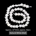 Natural white shell star-shaped loose beads for DIY handmade jewelry making 10mm - Star / 10*3mm / White