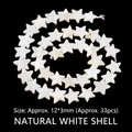 Natural white shell star beads for DIY jewelry making 12x3mm 33 pieces per strand - Star / 12*3mm Through Hole Bead / White