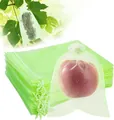 Light green organza drawstring gift bag for fruit protection and jewelry packaging - Fruit Green / 5*7cm