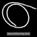 Natural white shell bamboo joint beads 3-4mm strand for DIY jewelry making - Cylinder / 3-4mm / White