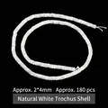 Natural white trochus shell beads strand 2x4mm cylindrical shape approx 180 pieces - Disc / 2*4mm / White