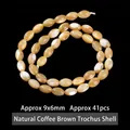 Natural coffee-colored oval trochus shell beads for jewelry making, 9x6mm, approx 41 pcs - Seed Beads / 9*6mm / Coffee