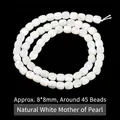Natural white trochus shell barrel beads 8x8mm for DIY jewelry making accessories - Antique Style Beads / 8*8mm / White