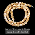 Natural coffee horseshoe snail shell beads 8x8mm square loose beads for jewelry - Antique Style Beads / 8*8mm / Coffee
