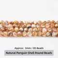 Natural penguin shell round beads 5mm DIY jewelry making accessories - Round Beads / 5mm / Brown