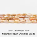 Natural penguin shell rice beads oval 3x5mm lustrous loose beads for jewelry making DIY - Seed Beads / 3*5mm / Brown