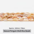 Natural nacreous penguin shell oval rice beads 4x8mm strands for jewelry making - Seed Beads / 4*8mm / Brown