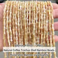 Natural coffee trocus shell bamboo joint beads for DIY jewelry making, 4*8mm - Bamboo Joint / 4*8mm / Coffee