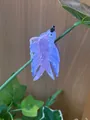Cute purple swallow bird hair claw clip in marbled acetate for unique hairstyles - Purple