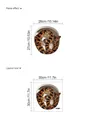 3D gestreifte Schlange Deko Aufkleber für Bad Toilette, abnehmbares PVC Wandtattoo - 30*30cm(PE847) / Braun
