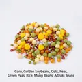 Realistic PVC artificial mixed grains and beans model for food display and props - Eight-Treasure Porridge C (Mixed Grains) (500g)