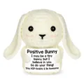 Hand-crocheted white positive bunny doll holding an inspirational quote card gift. - Cinnamoroll