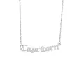 Close-up detail of a silver stainless steel Capricorn zodiac nameplate pendant necklace - Capricorn Silver