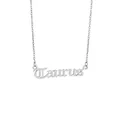 Detailed macro view of a silver stainless steel Taurus zodiac nameplate pendant necklace - Taurus Silver