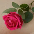 Elegant single stem deep pink velvet artificial rose flower for home and wedding decor - Freud (Velvet Version)