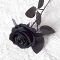 Elegant single black velvet artificial rose flower for luxury wedding or home decor. - Full Black (Velvet Version)