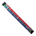 South Africa national flag printed satin fan scarf for 2026 World Cup, 135x14cm - 135cm / South Africa