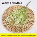 Artificial White Forsythia bundle with 35 clusters, 38cm length for home floral decor - White Fuchsia Bundle