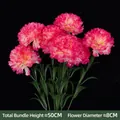 Pink and white silk carnation artificial flower bouquet, 50cm tall with 8cm blooms - 7 Carnations In A Bunch - Rose Red
