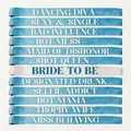 Set of 12 bachelorette party sashes with funny titles in blue and champagne satin - 12 Pieces / Light Blue