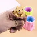 Detail view showing a hand squeezing a brown squirrel stump pop-up stress relief fidget toy - Squirrel in Tree Stump Toy (Brown)