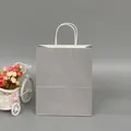 Premium grey kraft paper gift bag with white twisted handles for retail packaging - Silver-gray; Extra Small Size (12*15*6) With Vertical Cut