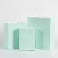 Set of three mint green paper gift bags with handles in different sizes for shopping - Macaroni Green; Vertical Style Extra Small Size (12*15*6)