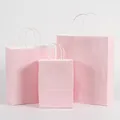 Premium set of three pink kraft paper gift bags with white rope handles in various sizes - Macaroni Powder; Extra Small Vertical Size (12*15*6)