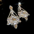 Elegant champagne crystal teardrop earrings featuring brilliant rhinestone fringe - Silver Earring Post Champagne Main Stone Tassel Style (45#)
