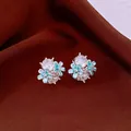 Elegant silver-tone stud earrings with clear zircon stones and blue enamel flowers - Style 20