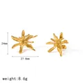 Detalle de pendientes dorados con diseño de fuegos artificiales, tamaño 24x27,8mm - Pendientes de Fuegos Artificiales (TE60817) / Dorado