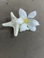 Eleganter Haarclip mit weißer Stoffblume und Seestern mit klaren Kristallakzenten und Clip - Weiß