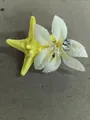 Exquisiter Haarclip mit hellgelber Stoffblume, Seestern und klaren Perlenakzenten - Gelb