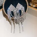 Exquisite long silver tassel earrings encrusted with sparkling rhinestones for party - Long Water Drop Tassel Style (75)