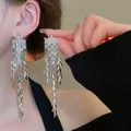 Detailed view of long silver tassel earrings with many sparkling cubic zirconia stones - Water Drop Leaf Tassel (35#)
