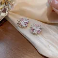 Primo piano di eleganti orecchini a lobo a forma di fuoco d'artificio con zirconi rosa. - Stile Fuochi d'Artificio / Argento-Rosa