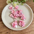 Dettaglio ravvicinato di orecchini a nappa con petali di conchiglia rosa cangiante - Rosa