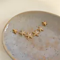 Close-up of gold starfish stud earring set with sparkling cubic zirconia on ceramic - 5# Starfish Style